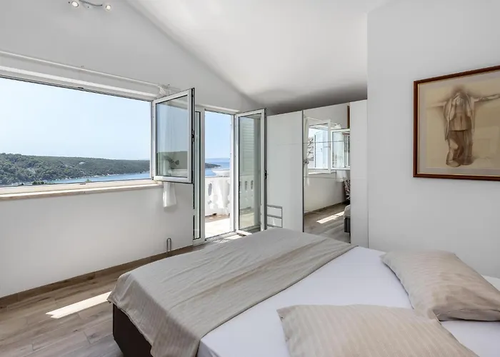 Pet Friendly In Apartament