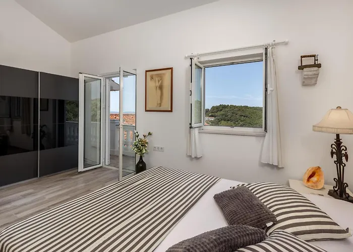 Pet Friendly In Apartament